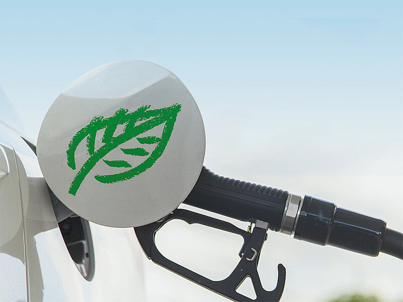 Wieder aufgebaut für die Saison 2019