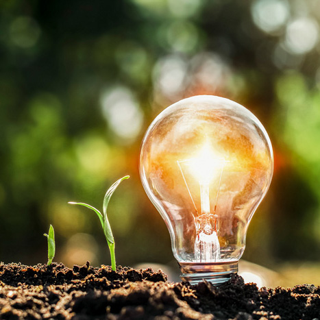 AVIA Ökostrom &ndash;<br>zertifiziert & verantwortungsbewusst