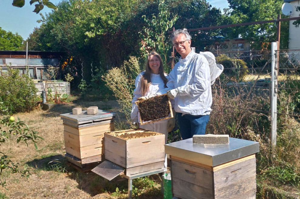 Emsige Botschafter: Bienenvölkchen »AVIA«