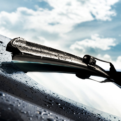 Schweibenwischer