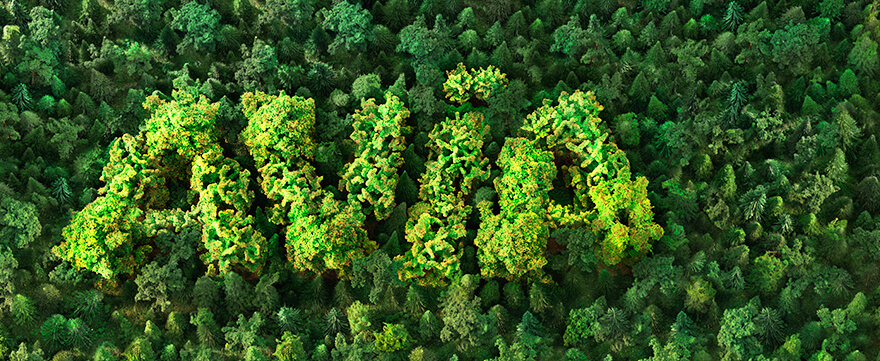 Fotomontage AVIA Logo aus Bäumen